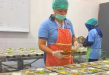 MBG Bakal Perbanyak Sumber Protein dari Ikan, BGN Siap Jadi 'Offtaker'
