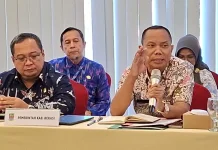 Pemda Bekasi Usulkan Penguatan Aturan RUU Kawasan Industri