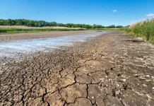 Kenali Perbedaan Kekeringan Meteorologis dan Hidrologis