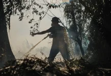 KLH Alirkan Air Sungai Pawan untuk Basahi Gambut Ketapang