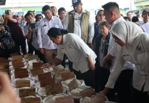 Produksi Padi Naik, Stok Beras Tetap Melimpah