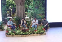 Dua Induk Badak Sumatera Bunting, Jadi Kabar Baik Konservasi