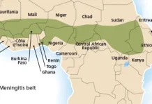 Mengenal Meningitis Belt, Wilayah Afrika yang Rawan Wabah