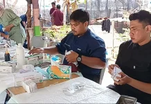 Kendalikan Populasi, PDHI-Pemprov DKI Target Sterilisasi 1000 Ekor Kucing