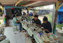 PDHI dan Pemprov DKI Jakarta Gelar Sterilisasi dan Vaksinasi Kucing di Untung Jawa