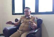 Sterilisasi Tekan Populasi Kucing Untung Jawa