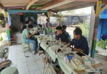 Ini Pentingnya Sterilisasi dan Vaksin Rabies bagi Kucing
