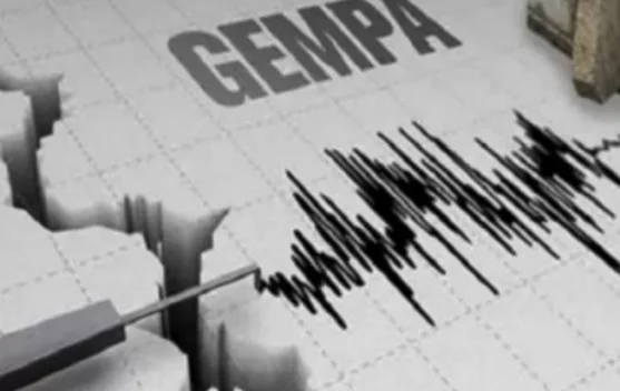 Gempa Magnitudo 2,7 Guncang Jayapura Papua