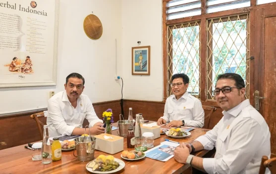Kemenko PM Dorong Ekosistem UMKM dan Ekraf Berbasis Kawasan