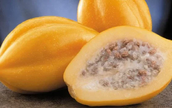 Mengenal Carica, Buah Khas Dieng yang Tumbuh di Negeri Awan