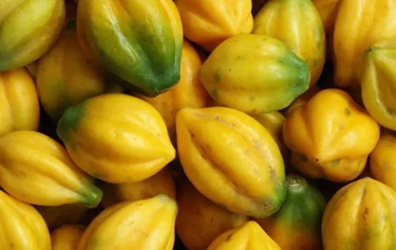 Ketahui Kandungan Carica, Buah Khas Dieng yang Kaya Manfaat bagi Kesehatan
