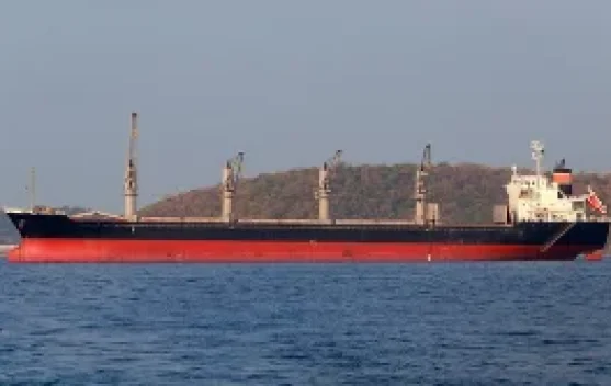 IMO Tangguhkan Evakuasi Selat Hormuz setelah Serangan Kapal - RRI.co.id