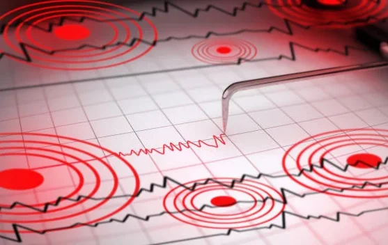 Gempa di Kabupaten Gayo Lues Turut Dirasakan hingga Langsa dan Sumut