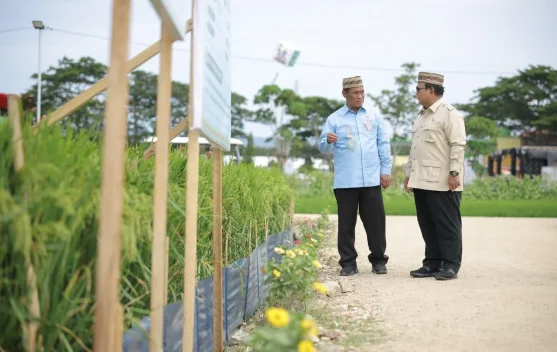 Presiden Tegaskan Swasembada Pangan Berkelanjutan, NTP Capai Rekor 34 Tahun - RRI.co.id