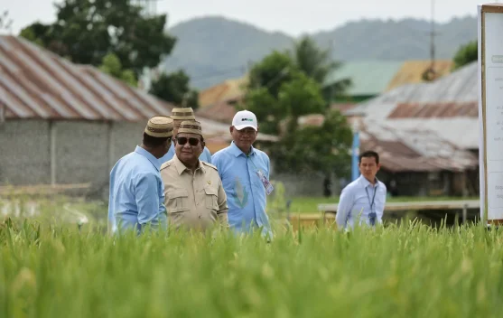 Presiden Prabowo Buka Ekspor Pangan Bersyarat, Asal Petani Tak Boleh Rugi - RRI.co.id