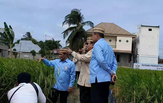 Presiden Prabowo Tinjau Teknologi Pertanian Modern di PENAS Petani-Nelayan - RRI.co.id
