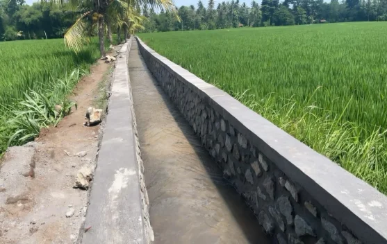 Kementerian PU Mulai Program P3-TGAI 2026 untuk Perkuat Irigasi Bali - RRI.co.id