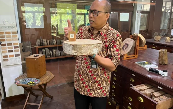 Kemenhut: Pemanfaatan Hutan Kunci Menjaga Kelestarian, Bukan Merusaknya - RRI.co.id