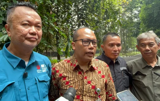 PHL Pastikan Multiusaha Kehutanan Diawasi Ketat - RRI.co.id