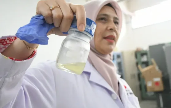 BRIN Kembangkan Limbah Sawit Jadi Minyak Biomassa - RRI.co.id