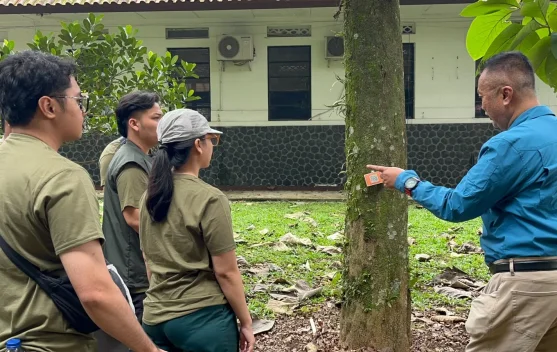 Gaharu Disebut Berpotensi Dongkrak Pendapatan Warga - RRI.co.id