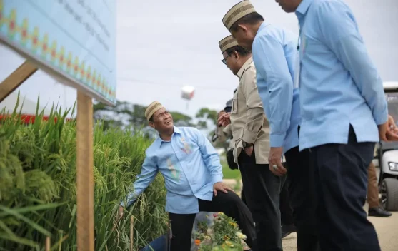 Mentan: Produksi Beras Indonesia Peringkat Keempat Dunia Versi FAO - RRI.co.id