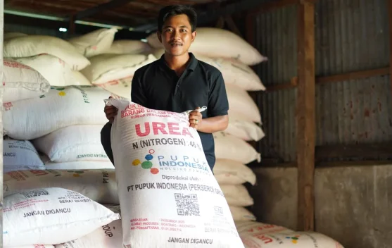Kementan Pastikan Stok Pupuk Subsidi Aman Dukung Tingkatkan Beras Nasional - RRI.co.id
