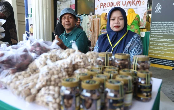 Menko Pangan: Ketahanan Pangan Dimulai dari Keluarga - RRI.co.id