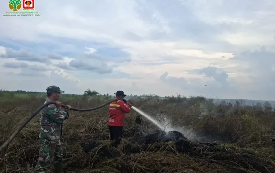 Manggala Agni Masih Tangani Dua Titik Karhutla di Riau - RRI.co.id