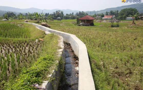 PU Perkuat Jaringan Irigasi Bogor Dukung Swasembada Pangan Nasional - RRI.co.id