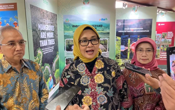 Kemenhut Ungkap 4.400 DAS Bermasalah, 250 Jadi Prioritas Pemulihan