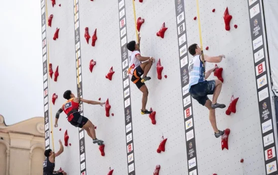 Atlet Panjat Tebing Indonesia Lolos Final Speed Perorangan dan Relay Campuran - RRI.co.id