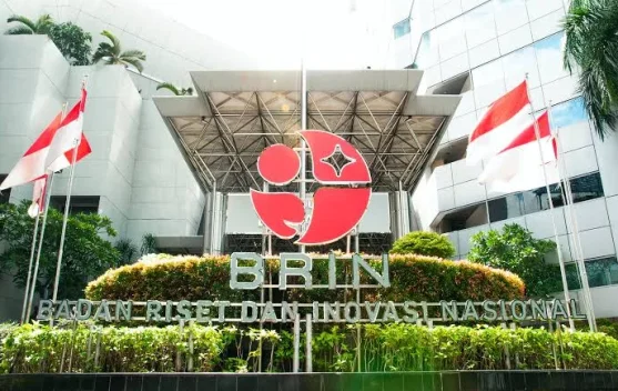 BRIN Ingatkan Pentingnya Konservasi Usai Temukan Katak Baru di Merapi - RRI.co.id