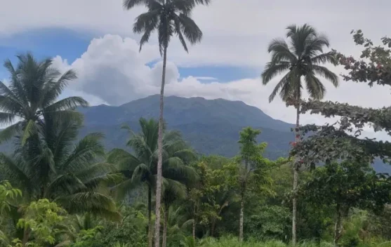 Badan Geologi Turunkan Status Gunung Awu Menjadi Waspada - RRI.co.id