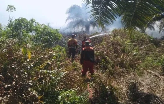 Karhutla Marak di Kotawaringin Barat, Delapan Hektare Lahan Hangus - RRI.co.id