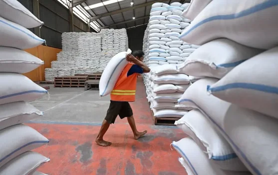 Pemerintah Pastikan Stok Pangan Nasional Aman Hadapi Musim Kemarau