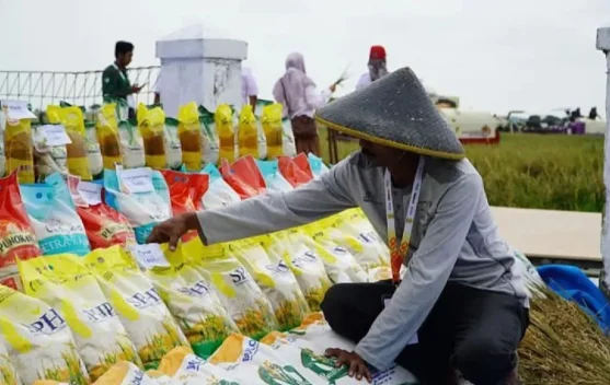 Tekan Harga Beras Premium, Bulog Siapkan Beras SPHP 'Beras Kita' - RRI.co.id