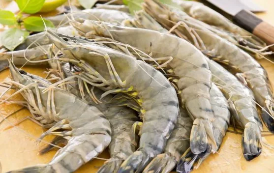 DPR Apresiasi Udang Kebumen Tembus Pasar AS - RRI.co.id