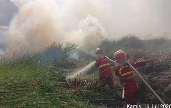 Kemenhut Perketat Pengawasan Karhutla, Pelaku Pembakaran Diancam Sanksi Pidana