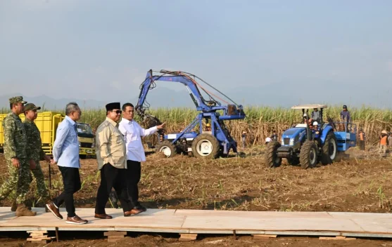 Apresiasi Petani, Presiden Prabowo Ajak Masyarakat Pahami Proses Budidaya Padi
