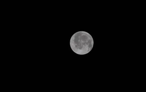 National Moon Day 20 Juli Peringati Jejak Manusia di Bulan