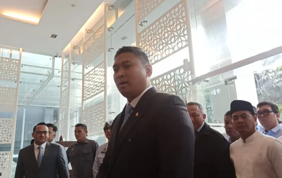 Pembuktian Kepala BGN baru , Kapasitas BGN Menyelesaikan Masalah