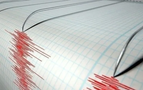 Pacitan Jawa Timur Diguncang Gempa Magnitudo 2,4