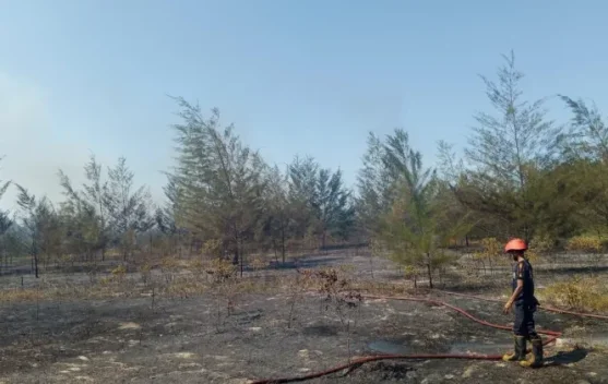 BMKG Deteksi 40 Titik Panas di Babel, Warga Diimbau Tak Bakar Lahan