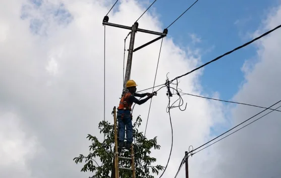 PLN Berhasil Pulihkan Total Kelistrikan Flores Pasca Gempa M7,7