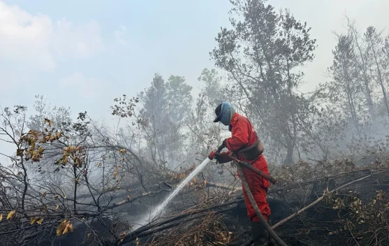 Operasi Karhutla Kalimantan Diperkuat, Pemerintah Kerahkan 12.880 Personel