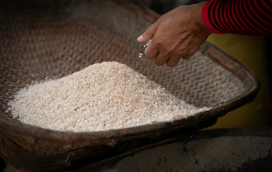 Mengenal Beras Fortifikasi dan Bedanya dengan Beras Premium
