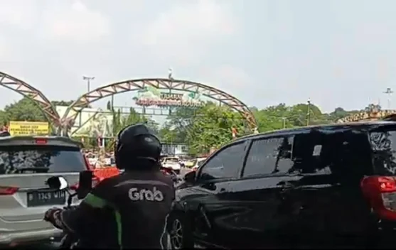 Rayakan HUT Ke-162, Ragunan Beri Pengayaan Khusus Gorila 'Komu'