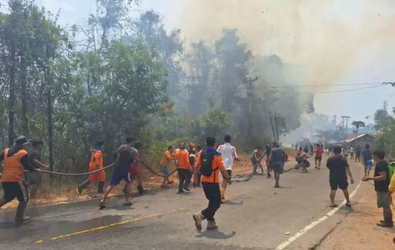 Karhutla di Poso Hanguskan 15 Hektare Kebun dan Dua Rumah Warga