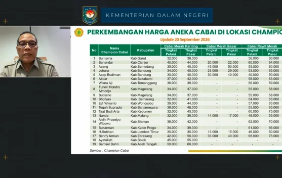 Harga Cabai Petani Jauh di Bawah Pasar